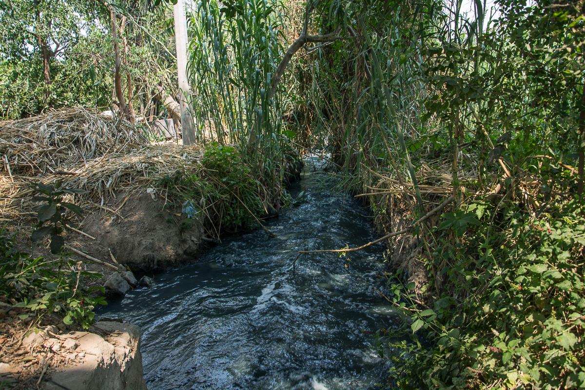 Cuenca del Papaloapan